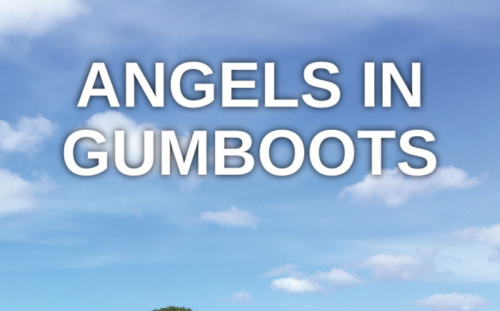 Angels in Gumboots: a Carer booklet by a Carer